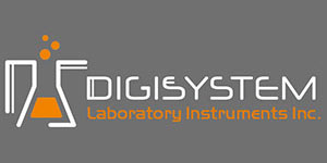 Digisystem's new logo