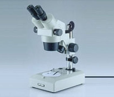 實體顯微鏡